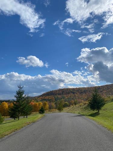 August Lodge Cooperstown - image 11