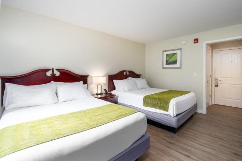 Budget Double Room