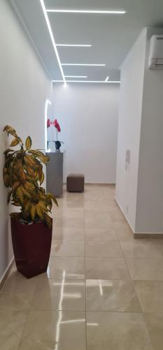 GPN 1 apartment - image 4
