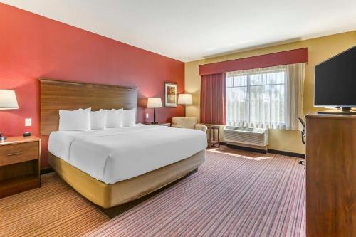 Best Western Plus Chandler Hotel & Suites - image 13