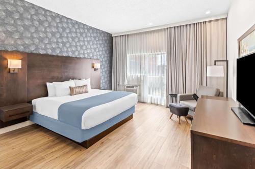 King Room with Roll-In Shower - Disability Access