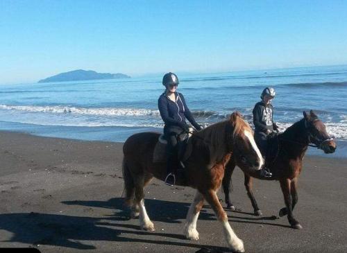 Beachfront Kapiti Sands, up to 25 guests!