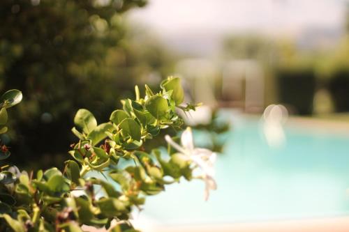 Valle di Mare Country Resort – Syracuse, CA