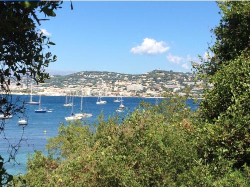 Hotel Le Festival - image 6