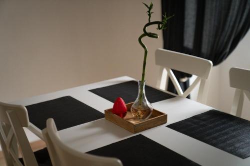 Beautiful Central City Apartment - 2BR, WIFI, Netflix & PS4 in Klosterneuburg, Österreich