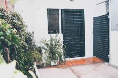 las palmeras in San Juan