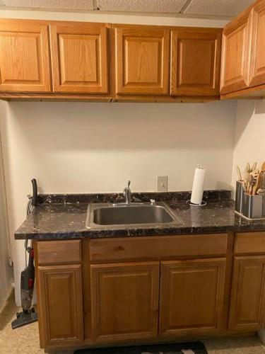 2 beds, 1 sofa-bed, Free parking, Private, near DC in Silver Spring, USA