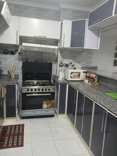 القاهره مدينه نصر