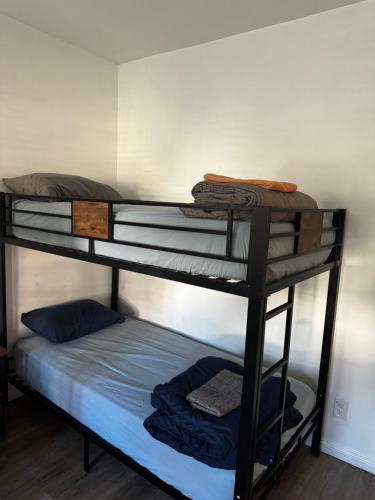Bed in 4-Bed Dormitory Room