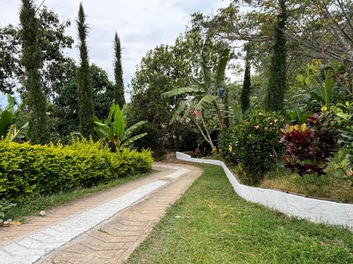 Mirador delossueños