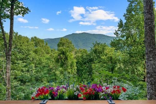 New, Luxury, 5 mi to Asheville, Hot Tub, Mountain View in Swannanoa, USA