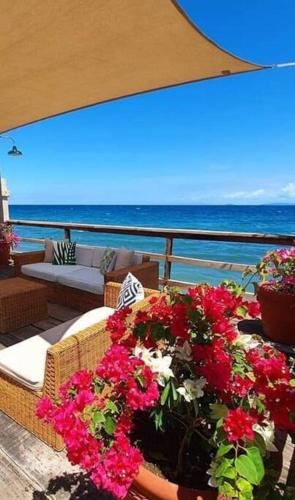 exclusive VILLA cel