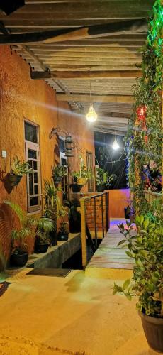 Hostal Tree House in Ella