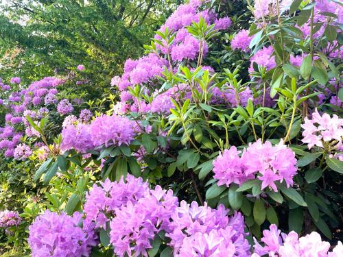 Kert, Miller Kunterbunt in Edewecht