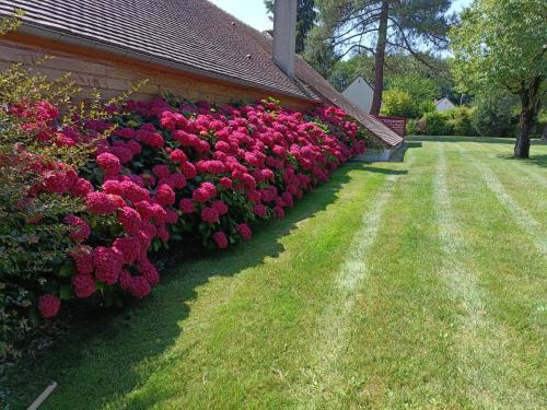 Gite de Miprovent chambre d'hôte Nouan-le-Fuzelier