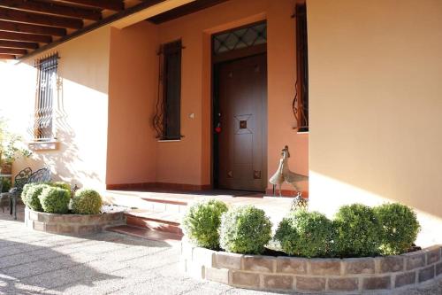 Το πέτρινο Επιστροφή στις ρίζες