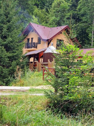 外部景觀, Casa Sinca in 蒂米蘇爾德約斯