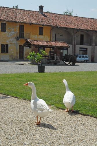 Foto - Hotel Antico Podere Propano