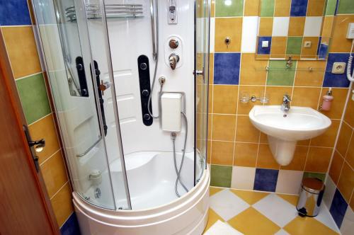 Hotel Loucky - image 12