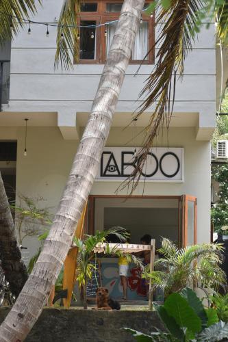 Taboo