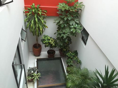 Hotel Sogamoso Real in Sogamoso