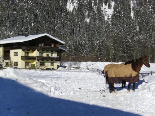 Pension Foidl - image 5