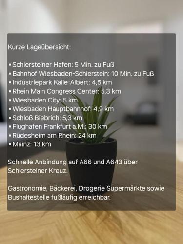 Tiny-Home-Stil Rhein-nah und Top Verkehrsanbindung in Wiesbaden