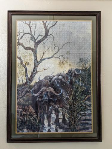Zambezi Family Lodge - Buffalo Room - image 3