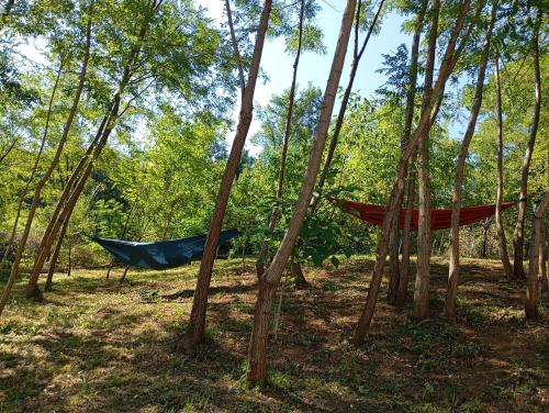 Casa Stejaru in Baile Govora