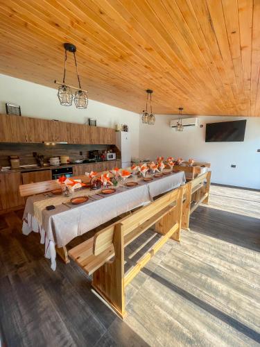 廚房, Александровата Къща - Aleksandar Guest House with Garden and Pool in 沃爾舍茨