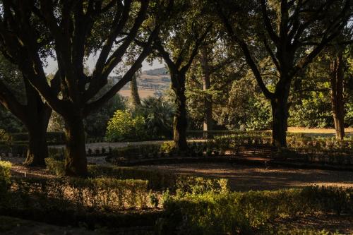 Borgo Dei Conti Resort - image 8