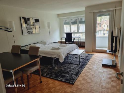 Very central and sunny 2BR flat - Marble 2 in Ruschlikon