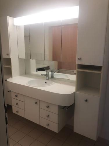 Executive 1BR flat, city center - Hammer 3, Zürich (photo 4)