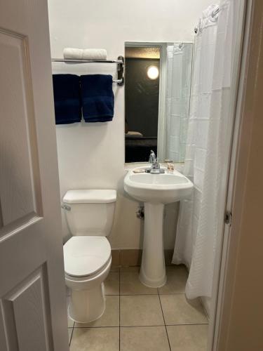 Budget Inn Hollywood, Los Angeles (fotografie 10)