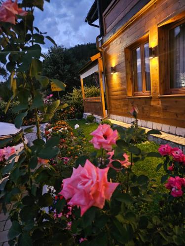 Guesthouse Sandra in Kolasin