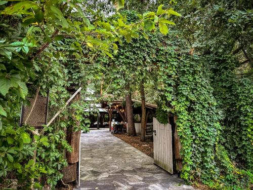 Hotel Echo - main image