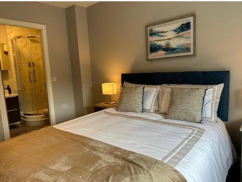 Malahide Superior Large Serviced Apartment - Sleeps 6, Dublín (foto 9)