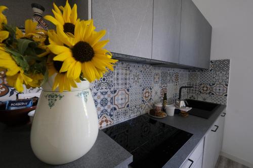 廚房, BB Il benvenuto in 洛雷托