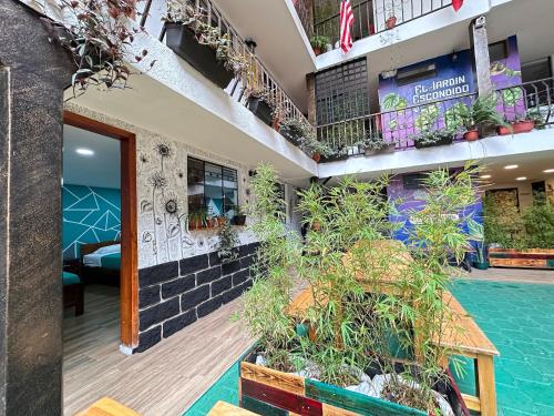 Garden, El Jardin Escondido by Soma in Banos