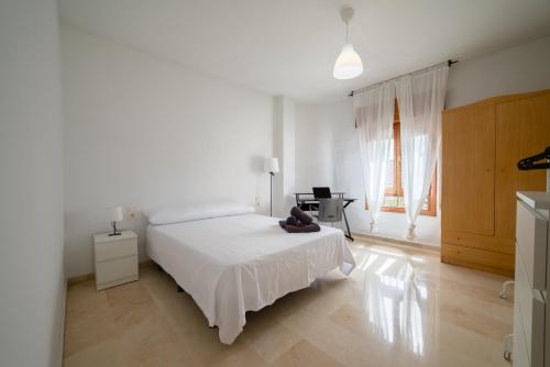 TrendyRooms Granada, centro a 10 minutos andando, Granada (fotografie 9)