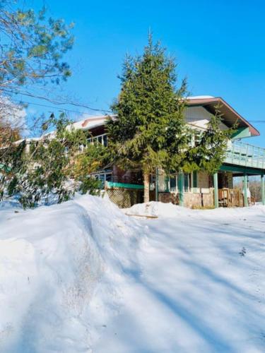 Catskill Cabin Hummingbird Suite 2 in Shandaken (NY)