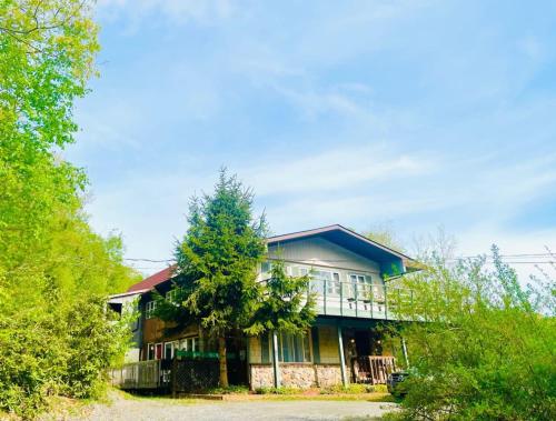 Catskill Cabin Hummingbird Suite 2 in Shandaken (NY)