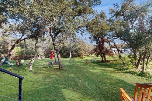 Texas Deer Blind Unit A in Canyon Lake, USA