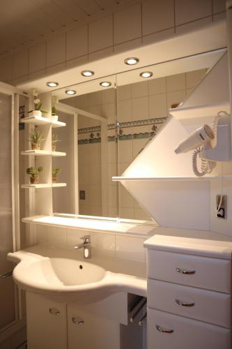 One-Bedroom Apartment image 4