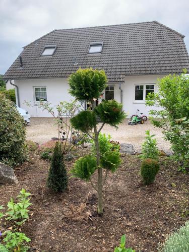 OTTOC Ferienwohnung in Uxheim