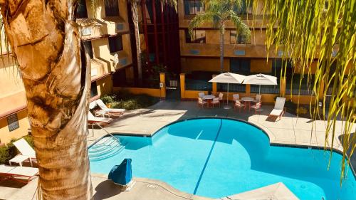 Holiday Inn Rancho Cordova - Northeast Sacramento By IHG - 전망