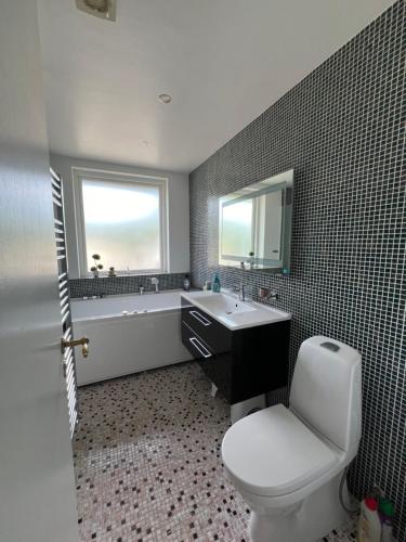 Villa with private pool and jacuzzi in Ringsted