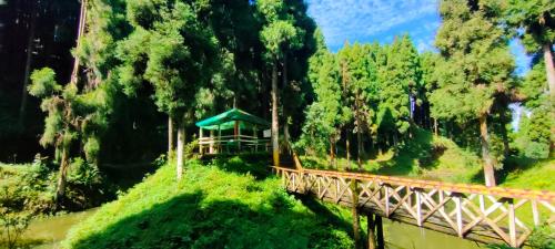 Nearby attraction, Stone and Pine Farmstay in Hillside
