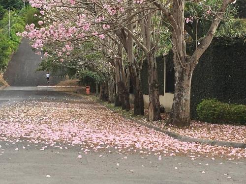 Bello espacio en zona rodeada de naturaleza Apt 2 in Pinares