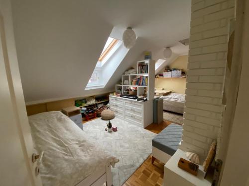 Unique apartma in the city center, Ljubljana (photo 7)